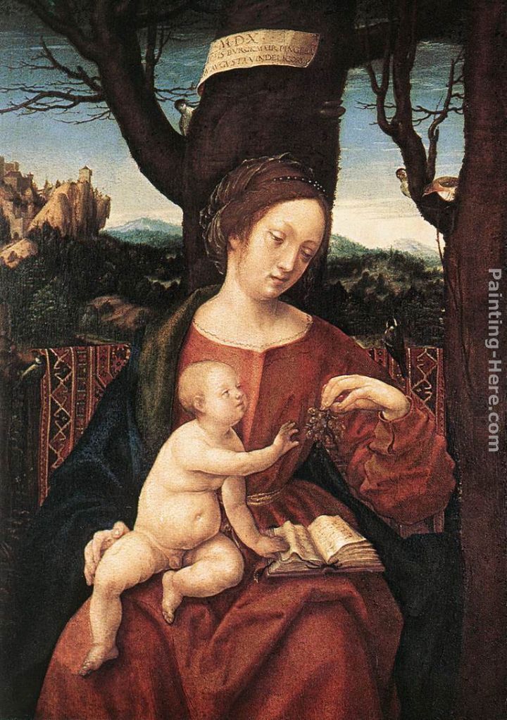 Hans the elder Burgkmair Madonna with Grape